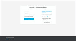 Desktop Screenshot of molinechristian.alleganaesa.org